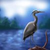 Grey Heron On Branch Art Diamond Paintings