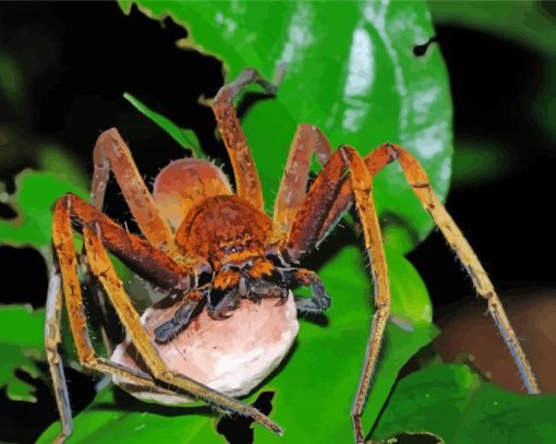 Huntsman Spider Insect With Egg Sack Diamond Paintings