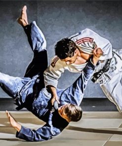 Jiu Jitsu Sport Diamond Paintings