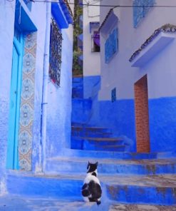 Moroccan Cat Diamond Paintings