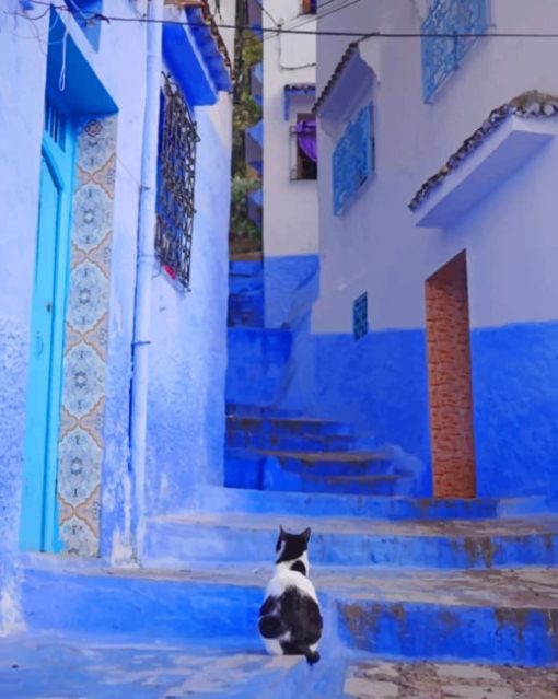 Moroccan Cat Diamond Paintings