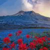 Mt St Helens With Red Poppies Diamond Paintings