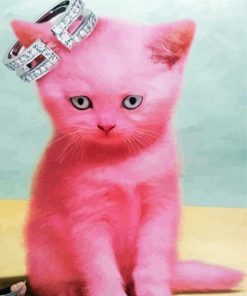 Pink Cat Diamond Paintings