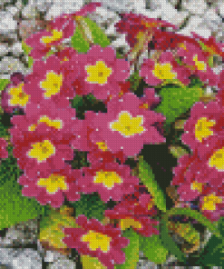 Purple Primrose Diamond Paintings