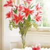 Stargazer Lily Vase Diamond Paintings