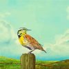 Western Meadowlark Art Diamond Paintings