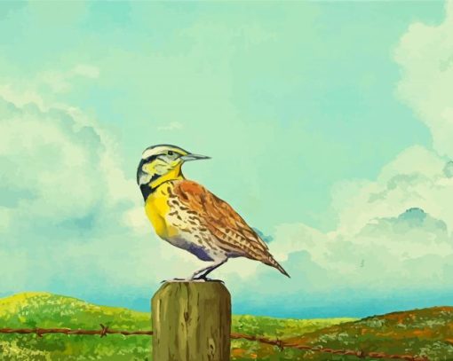 Western Meadowlark Art Diamond Paintings