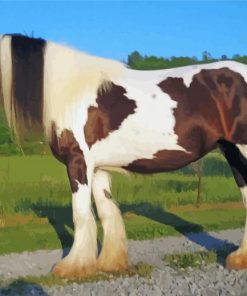 Aesthetic Gypsy Vanner Diamond Paintings