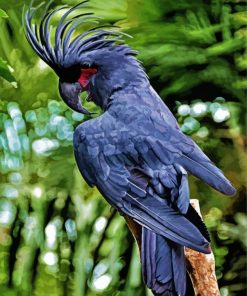 Black Cockatoo Bird Diamond Paintings