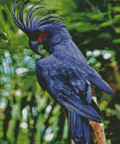 Black Cockatoo Bird Diamond Paintings