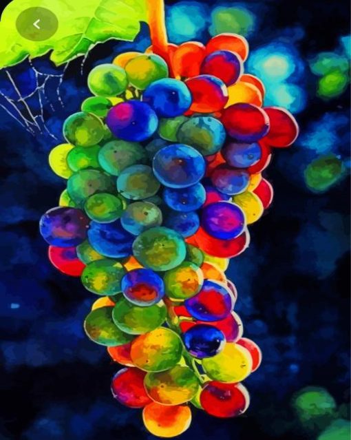 Colorful Grapevines Diamond Paintings