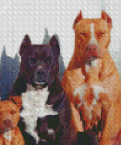 Cute Pit Bull Family Diamond Paintings