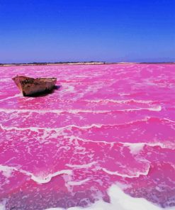 Pink Lake Retba Diamond Paintings