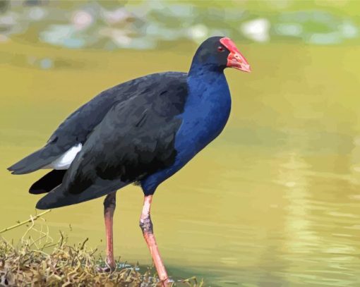 Pukeko Bird Diamond Paintings