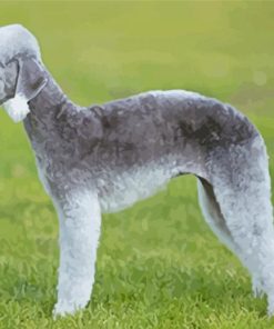 Aesthetic Bedlington Terrier Diamond Paintings