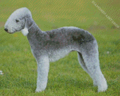 Aesthetic Bedlington Terrier Diamond Paintings