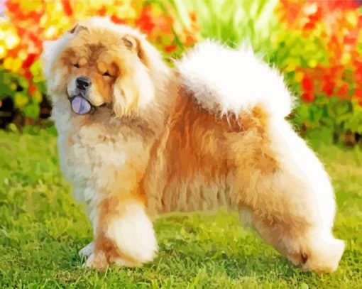 Aesthetic Chow Chow Animal Diamond Paintings