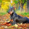 Aesthetic Doberman Pinscher Diamond Paintings