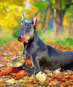 Aesthetic Doberman Pinscher Diamond Paintings