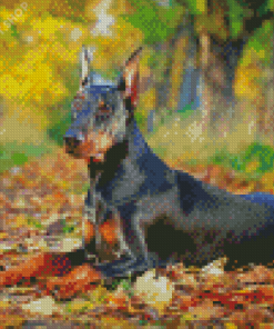 Aesthetic Doberman Pinscher Diamond Paintings