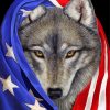 American Flag Wolf Diamond Paintings