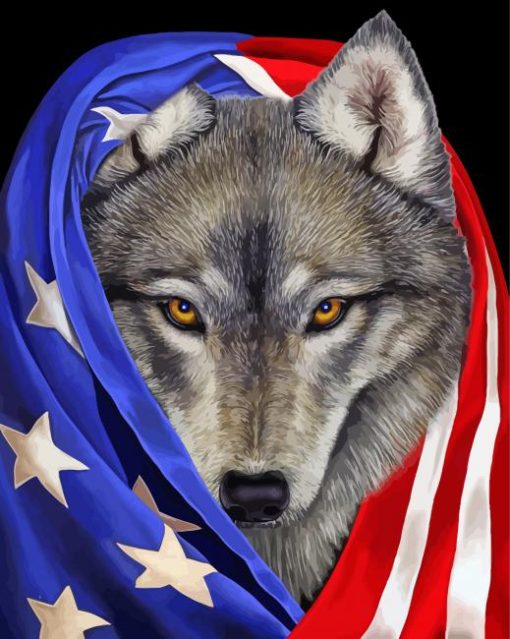 American Flag Wolf Diamond Paintings