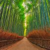 Arashiyama Bamboo Forest Diamond Paintings