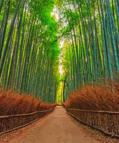 Arashiyama Bamboo Forest Diamond Paintings
