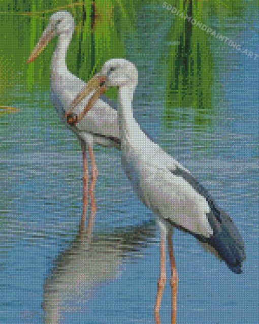 Asian Openbill Birds Diamond Paintings