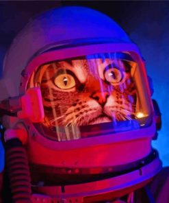 Astronaut Cat Diamond Paintings