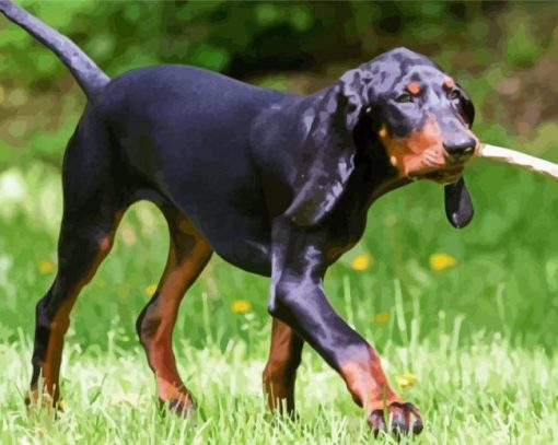 Black And Tan Coonhound Animal Diamond Paintings