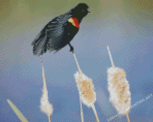 Blackbird With Red Wings Diamond Painting