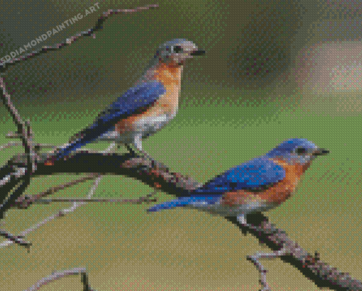 Blue Birds On A Branch Diamond Painting
