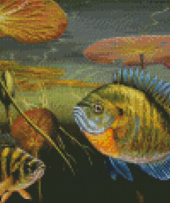 Bluegill Fish Diamond Painting