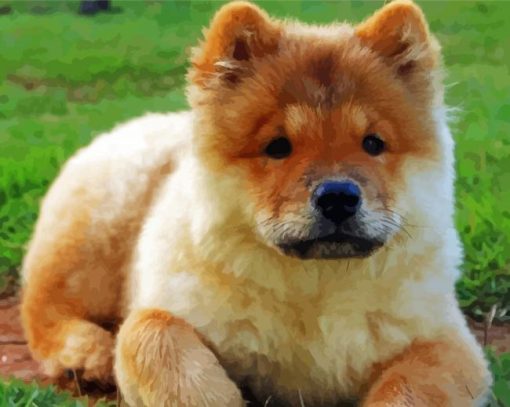 Chow Chow Diamond Paintings