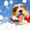 Christmas Dog Snow Diamond Painting