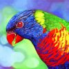 Colorful Lorikeet Bird Diamond Painting