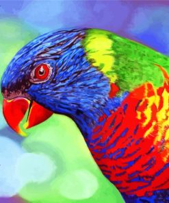 Colorful Lorikeet Bird Diamond Painting