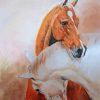 Couple Horses Art Diamond Paintings