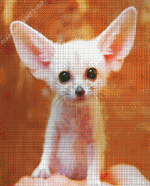 Cute Little Fennec Fox Diamond Paintings