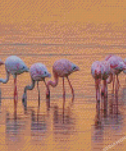 Flamingos Birds In Lake Nakuru Diamond Painting