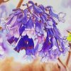 Jacaranda Flowering Plant Diamond Painting