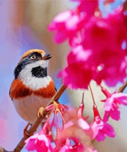 Long Tailed Tit On A Flower Tree Diamond Paintings