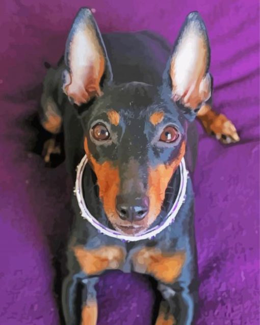 Manchester Terrier Diamond Paintings