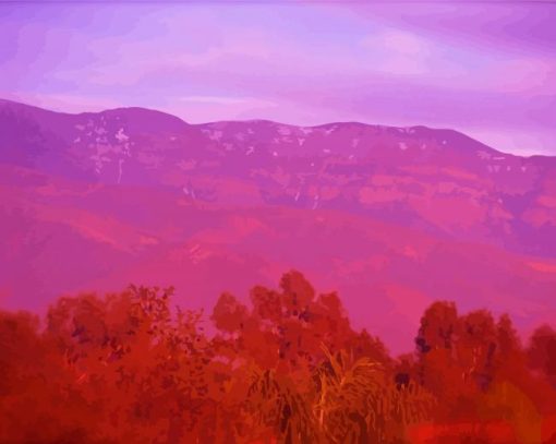 Ojai Pink Moment Diamond Paintings