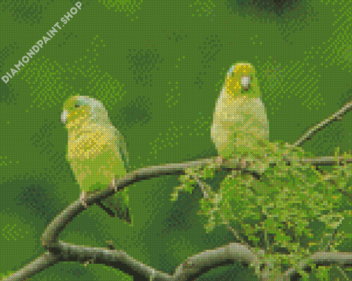 Parrotlet Birds On Tree Diamond Painting