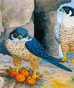 Peregrine Falcon Birds Diamond Paintings