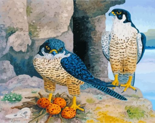 Peregrine Falcon Birds Diamond Paintings