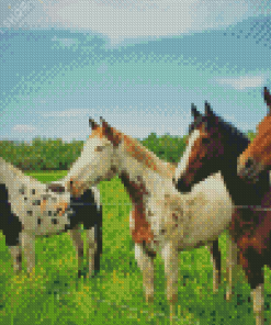 Ranch And Horses Animals Diamond Paintings