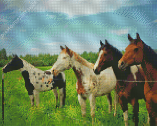 Ranch And Horses Animals Diamond Paintings